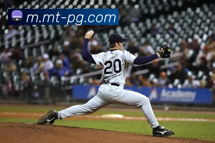 pg电子平台生态图